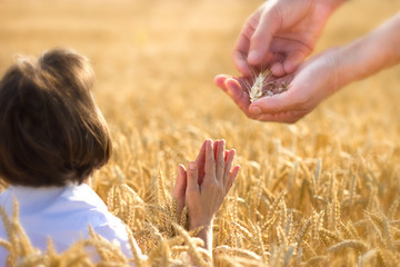 Prayer for a rich harvest