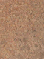 Fototapeta premium real unstiched terracotta hexagon stone floor