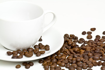 coffee bean 