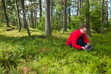 Blueberry collecting