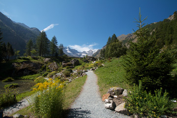 Valnontey Cogne - Giardino botanico
