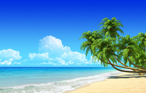 Palms on empty idyllic tropical sand beach.