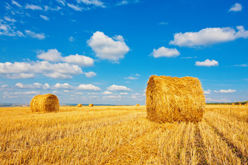 Hay bales on the field