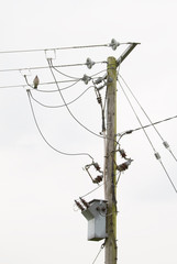 Power lines and transfomer on pole