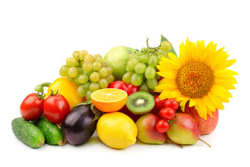 composition of fruits and vegetables
