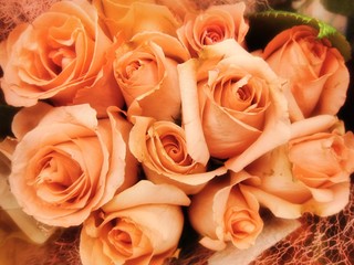 Bouquet of peach roses - token of love for your lover