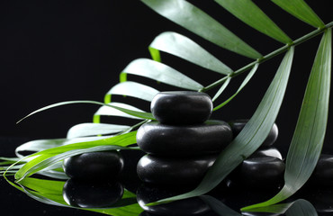 Fototapeta na wymiar Spa kamienie i liści palmowych, zielony na czarnym tle