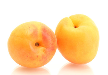 ripe sweet apricots isolated on white