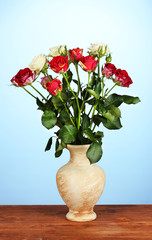 Beautiful roses in vase on blue background close-up