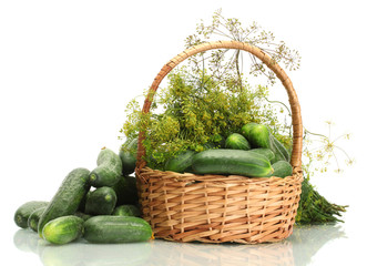 fresh cucumbers and dill in basket isolated on white