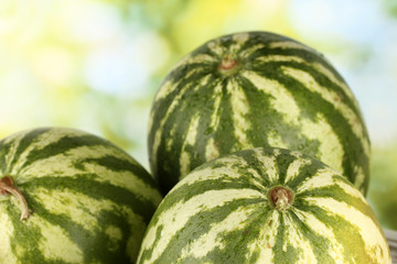 Ripe watermelon on green background close-up