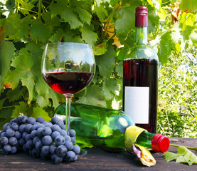 Im Weinlokal