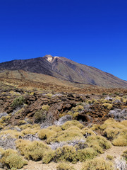 Teide National Park, Tenerife, Canary Islands, Spain