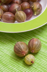 Stachelbeeren im grünen Teller