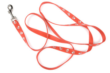 Red nylon dog lead or leash with paw print pattern on white