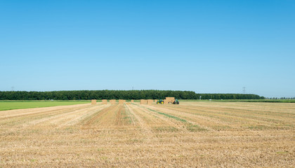 Fototapeta na wymiar Harvesting hay in summer