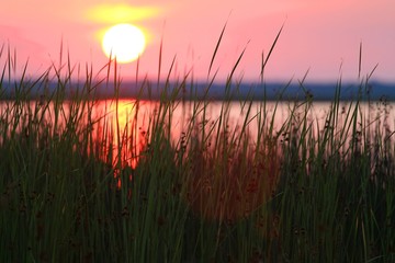Lake at sunset, Leba, Poland - obrazy, fototapety, plakaty