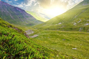 evening mountain valley