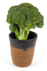 Broccoli in the ceramic cup