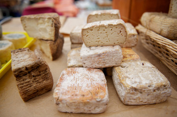 formaggi tipici