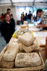 formaggi tipici