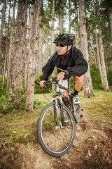 Fototapeta premium Mountain biker on pathway in forest