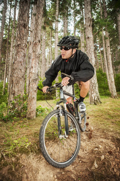 Mountain biker on pathway in forest