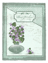 postcard with violet at grunge background