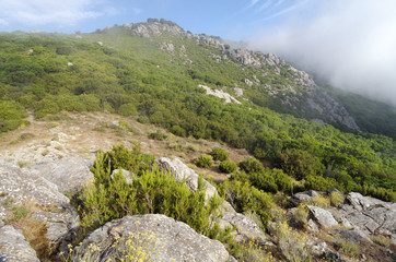 Fototapeta na wymiar pointe de Felicio montagne de Corse