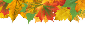 Autumn leaves frame over white for your text