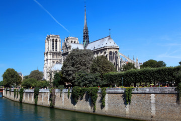 Obraz premium cathédrale de paris