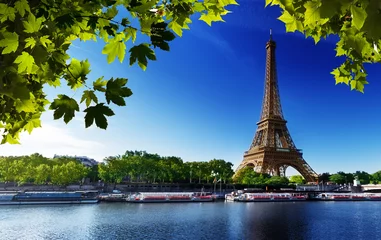 Wandcirkels aluminium Seine in Paris with Eiffel tower © Iakov Kalinin
