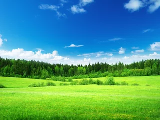 Zelfklevend Fotobehang grasveld en perfecte lucht © Iakov Kalinin