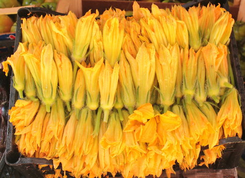 Fiori di zucca