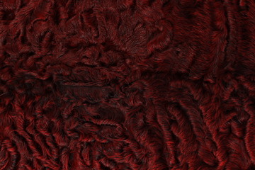 Red karakul texture background 