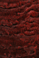 Red karakul texture background 