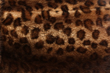 Leopard fur background 