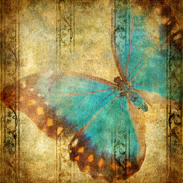 vintage background with blue butterfly over grunge wallpaper