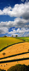 Landscape with straw bales in sunny day