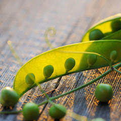 Fresh peas pods on a wooden table