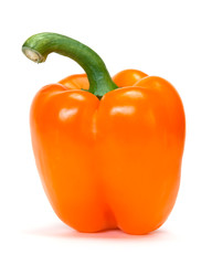 orange pepper over white background
