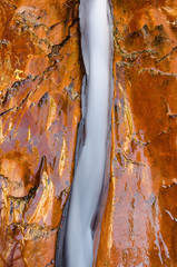 Creek bed slot in the left fork of the North Creek river Zion Na