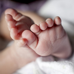 Newborn Baby Feet