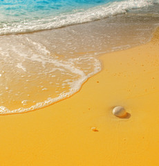 Gold sand and blue water