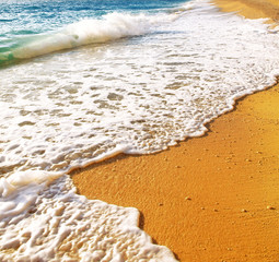 Gold sand and blue water