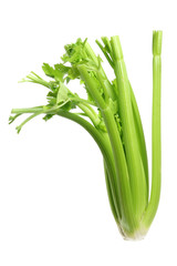 Celery