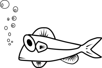 Fish eyes vector