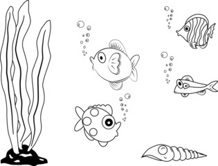 Fish vector paint by illustrator