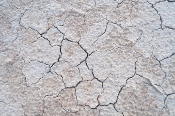 Soil.