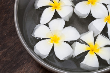 Frangipani flowers.